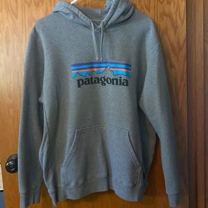 Patagonia Hoodie